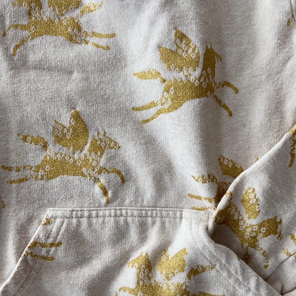 Tea Hoody Sweatshirt Pegasus Dress